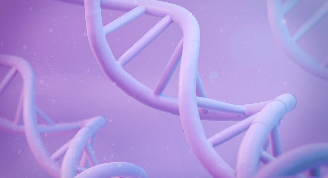 DNA Methylation:  Unlocking the Fountain of Youth