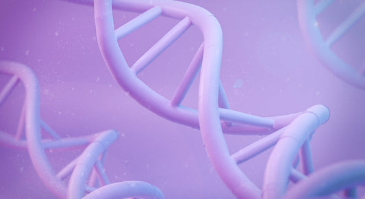 DNA Methylation:  Unlocking the Fountain of Youth