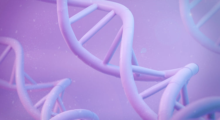 Functional Medicine Academy