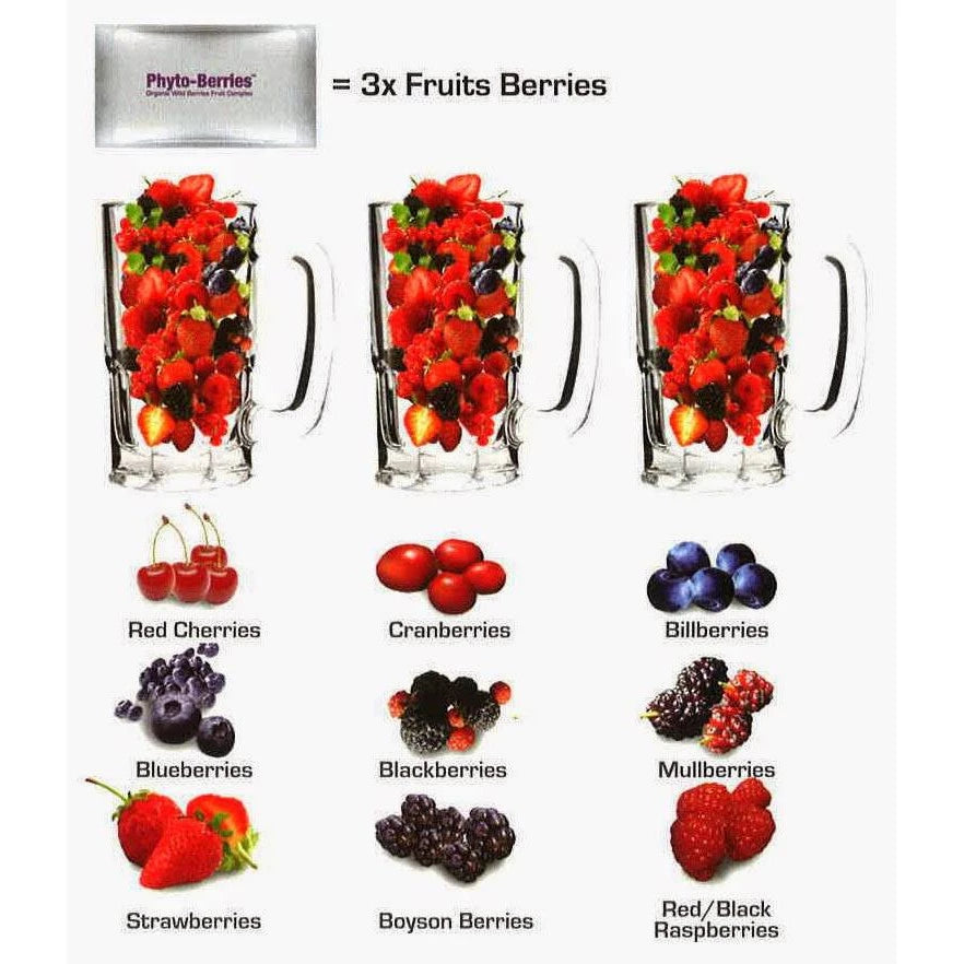 Phyto-Berries® 9-Berry Fruit Beverage