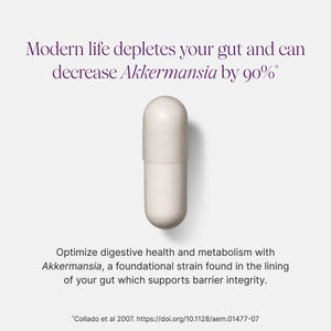 Capsule with text about gut health and Akkermansia on a white background