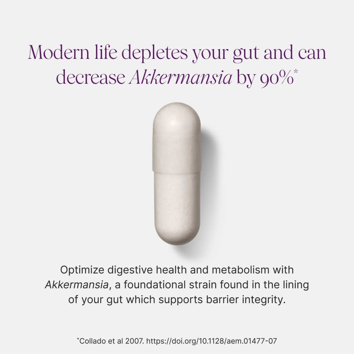 Capsule with text about gut health and Akkermansia on a white background